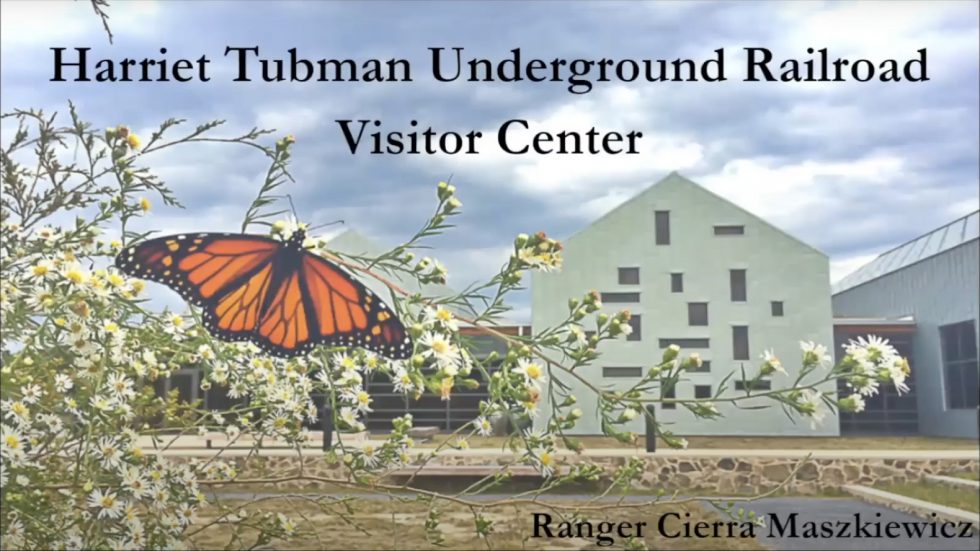 ‘The Tubman Country Experience’ Will Be Presented by Montgomery History Starting Monday, June 20